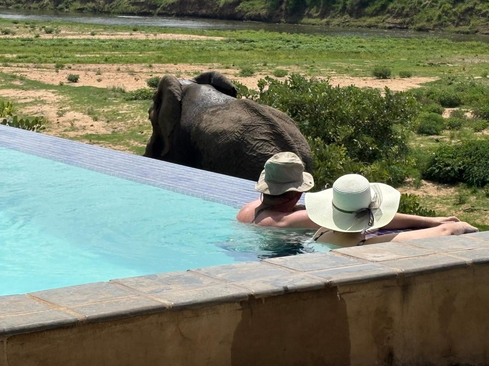 Rio Vista Lodge Malalane Kültér fotó
